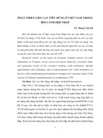 NHỮNG VẤN ĐỀ ĐẶT RA TRONG PHÁT TRIỂN CHO VAY TIÊU DÙNG