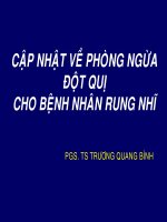 Cập nhật về phòng ngừa đột quỵ cho bệnh nhân rung nhĩ   PGS trương quang bình 