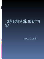 Chẩn đoán và điều trị suy tim cấp   PGS nguyễn anh vũ 