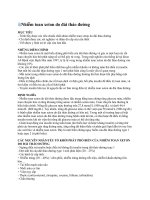 Nhiễm toan xeton do đái tháo đường 