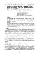 Tiểu luận nghiên cứu sự tương tác của nhóm cọc và nền đất dưới tác dụng của tải trọng ngang bằng mô hình số 