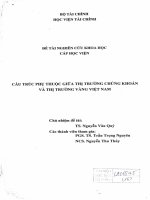 cấu trúc phụ thuộc giữa thị trường chứng khoán và thị trường vàng việt nam 