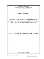 272 anh huong cua phan bon len tich luy KLN nguyen thanh   duy