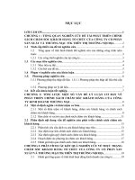 Phân tích các kết quả nghiên cứu về thực trạng chăm sóc khách hàng tổ chức của công ty cổ phần sản xuất và thương mại 3TK trên thị trường nội địa