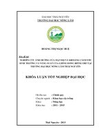 Nghiên cứu ảnh hưởng của mật độ và khoảng cách tới sinh trưởng và năng suất của giống dong riềng DR3 tại trường đại học nông lâm thái nguyên 