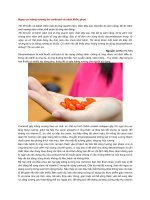 Nguy cơ loãng xương do corticoid và cách khắc phục