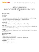 Giáo án Sinh học 10 bài 11: Vận chuyển các chất qua màng sinh chất