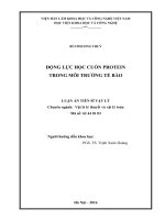 Động lực học cuốn protein trong môi trường tế bào