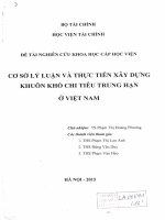 cơ sở lý luận và thực tiễn xây dựng khuôn khổ chi tiêu trung hạn ở việt nam 