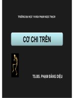 bài giảng giải phẩu cơ chi trên 