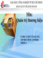 BÀI THUYẾT TRÌNH PHÁT TRIỂN THƯƠNG HIỆU HASEMILK của CÔNG TY VINASOY