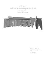 Tiểu luận những hiểu biết cơ bản về biệt thự 