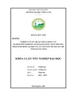 Nghiên cứu kỹ thuật nhân giống cây ba kích tím (morinda officinalis how) bằng phương pháp giâm hom tại hợp tác xã toàn dân huyện ba chẽ   tỉnh quảng ninh