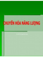 Chuyen hoa nang luong 