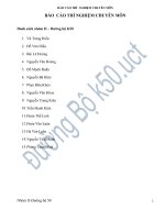 Tiểu luận vai trò và nhiệm vụ của công tác thí nghiệm và kiểm định chất lượng công trình