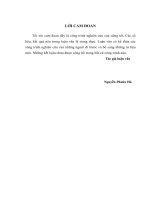 Luận văn thạc sỹ - Giải pháp đảm bảo tài chính cho hoạt động phòng, chống HIVAIDS 2015-2020