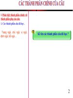 cac thanh phan chinh cua cau (1)