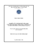 Nghiên cứu thành phần hóa học cây màn màn hoa tím (cleome chelidonii l f ) và màn màn hoa vàng (TT) 