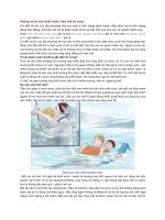 Phòng và sơ cứu đuối nước, hạn chế tử vong