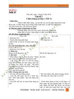 giáo án học mỹ thuật đan mạch mới nhất