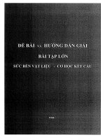 Bài tập lớn Sức bền vật liệu  Lều Mộc Lan, Nguyễn Vũ Việt Nga