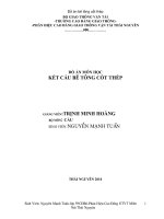 Tiểu luận thiết kế một dầm cho cầu dường ôtô nhịp giản đơn, bằng bê tông cốt thép, thi công bằng phương pháp đúc riêng từng dầm tại công trường và tải trọng cho trước 