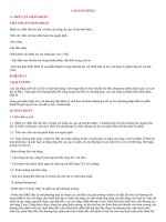 PHÁC đồ CHẨN đoán, điều TRỊ LAO cột SỐNG