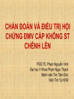 Chẩn Đoán Và Điều Trị Hội Chứng Đmv Cấp Không St Chênh Lên