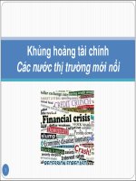 Khủng hoảng tài chính các nước thị trường mới nổi