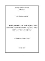Bảo vệ nhóm yếu thế trong bộ luật hồng đức và giá trị kế thừa trong việc hoàn thiện pháp luật việt nam hiện nay 