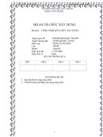 Khóa luận Lập tiến độ thi công công trình và thiết kế tổng mặt bằng xây dựng công trình