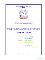 Tiểu luận tính toán tối ưu nhu cầu nước cho cây trồng 