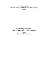 Bài giảng Chuyên đề xử lý nền móng
