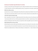 Say nắng, say nóng bệnh lý nguy hiểm không nên coi thường 