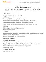 Giáo án Sinh học 7 bài Thực hành mổ và quan sát tôm sông