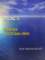 Bài Giảng Hệ Miễn Dịch & Các Cơ Quan Lymphô Ths. Bs. Trang Thị Ánh Tuyết