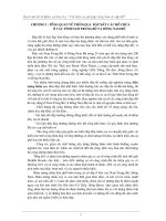 Tiểu luận giới thiệu các giải pháp chống thấm cho đập đất 