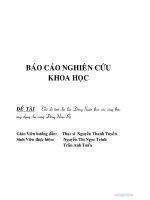 Tiểu luận chế độ tưới cho lúa đông xuân theo các công thức ứng dụng cho vùng đông nam bộ 