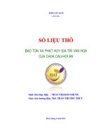 Số liệu thô bảo tồn và phát huy giá trị văn hóa của chùa cầu   hội an