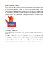 Độc tính và những tương tác cần chú ý 