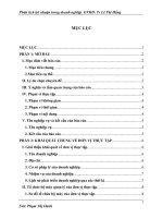 Báo cáo thực tập Phân tích lợi nhuận doanh nghiệp tại công ty CP kiến trúc và xây dựng Pháp Việt