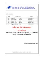 Tiểu luận hạ tầng giao thông đường bộ tại tp HCM thực trạng và giải pháp 