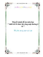 Tiểu luận thiết kế tổ chức thi công mặt đường ô tô 