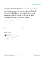 ConstructionandCharacterizationofaFulllengthcDNALibraryandIdentificationof GenesInvolvedinSalinityStressinWild Eggplant(SolanumtorvumSwartz)