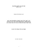 Đấu tranh phòng chống tội tàng trữ, vận chuyển, mua bán trái phép hoặc chiếm đoạt các chất ma túy ở các tỉnh tây bắc việt nam 