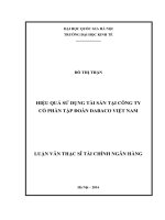 Hiệu quả sử dụng tài sản tại công ty cổ phần tập đoàn DABACO việt nam 