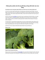 Những thực phẩm cần bổ sung để tăng cường miễn dịch vào mùa đông