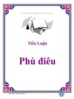 Tiểu luận đề tài  phù điêu 