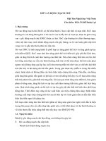 HỞ VAN ĐỘNG MẠCH CHỦ 