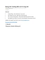 Rung nhĩ hướng dẫn xử trí rung nhĩ 